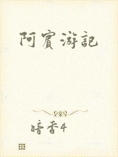 阿宾游记