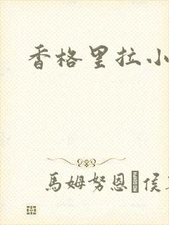 香格里拉小说封面