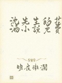 沈先生的花式调酒小说免费阅读封面