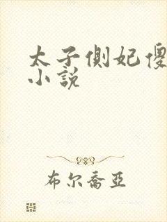 太子侧妃傻乎乎小说