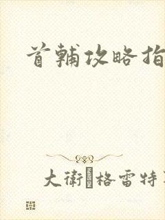 首辅攻略指南
