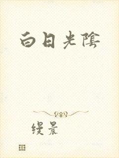 白日光阴封面