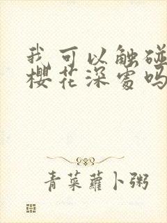 我可以触碰你的樱花深处吗