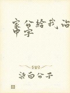 家公给我治疗5中字