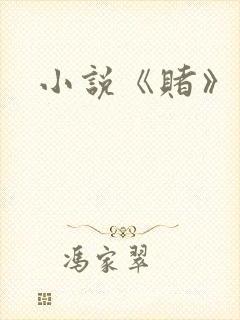 小说《赌》封面