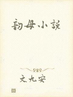 韵母小说