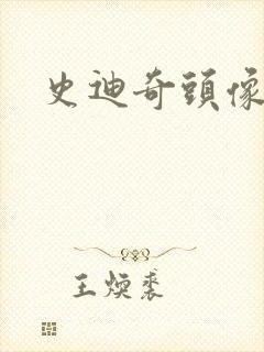 史迪奇头像
