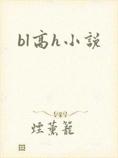 bl高h小说