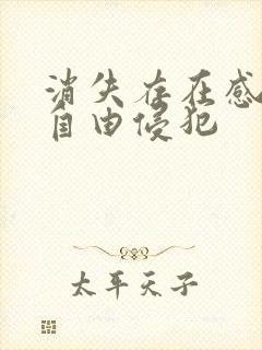 消失存在感消失自由侵犯