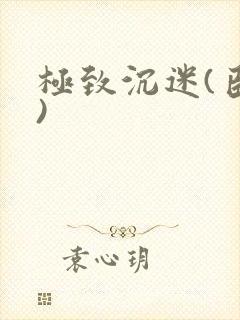 极致沉迷(臣年)封面