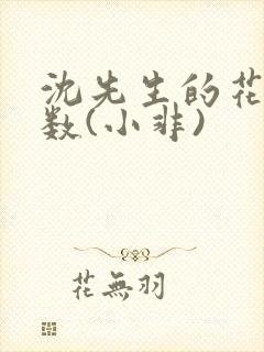 沈先生的花式调数(小非)
