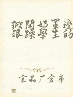 掀开奶罩边躁狠狠躁学生的小文字