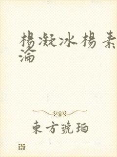 杨凝冰杨素宁沉沦封面