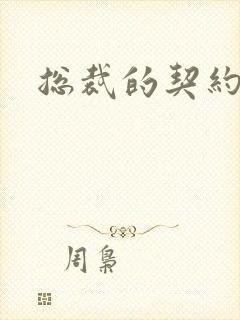 总裁的契约情人