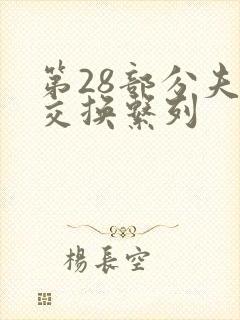 第28部分夫妇交换系列