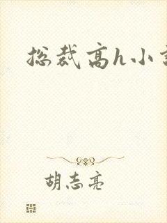 总裁高h小说