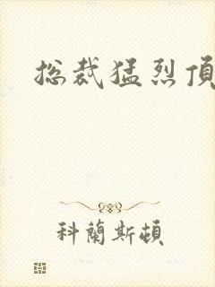 总裁猛烈顶弄h封面