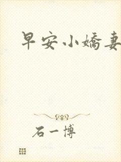 早安小娇妻封面