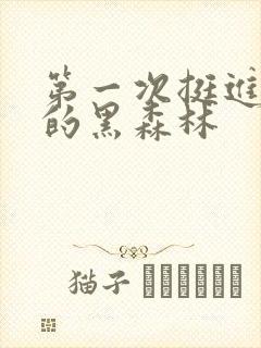第一次挺进麻麻的黑森林封面