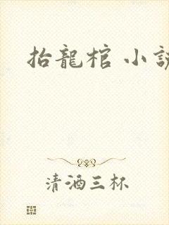 抬龙棺 小说封面