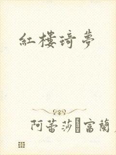 红楼琦梦