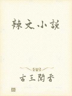 辣文小说封面