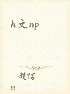 h文np封面