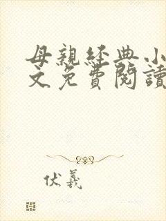 母亲经典小说全文免费阅读封面
