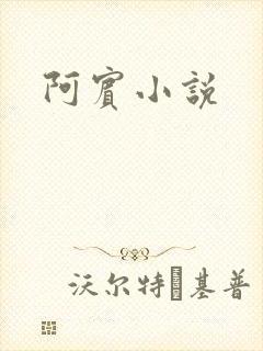阿宾小说