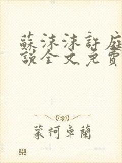 苏沫沫许庭川小说全文免费阅读