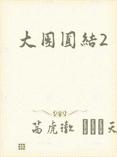 大团圆结2