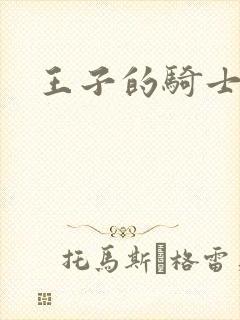 王子的骑士小说