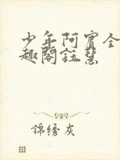 少年阿宾全文笔趣阁钰慧封面