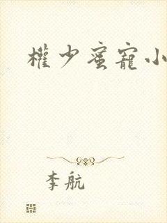 权少蜜宠小娇妻