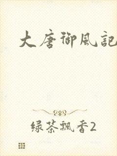 大唐御风记