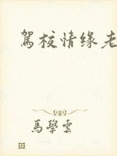 驾校情缘老赵封面