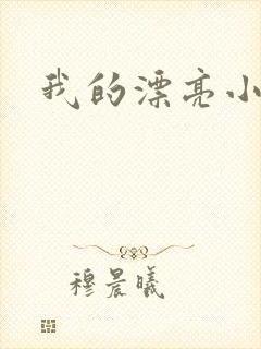 我的漂亮小后妈