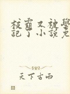 校霸又被学神标记了小说免费阅读封面