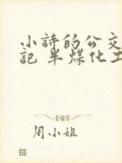 小诗的公交车日记 半煤化工