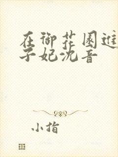 在御花园进入太子妃沈音