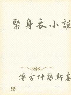 紧身衣小说