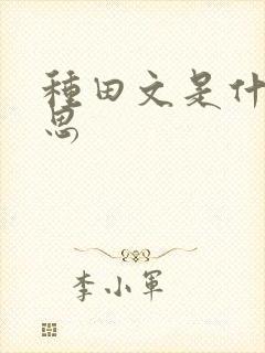 种田文是什么意思
