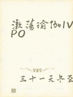 激荡瑜伽1V2PO
