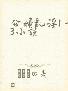 公妇乱淫1一13小说封面