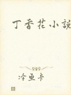 丁香花小说