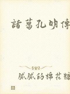 诸葛孔明传封面