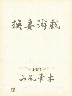 换妻游戏
