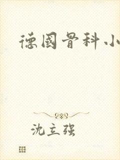 德国骨科小说