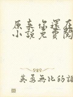 原来你还在这里小说免费阅读