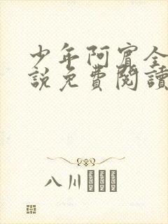 少年阿宾全文小说免费阅读笔趣阁封面
